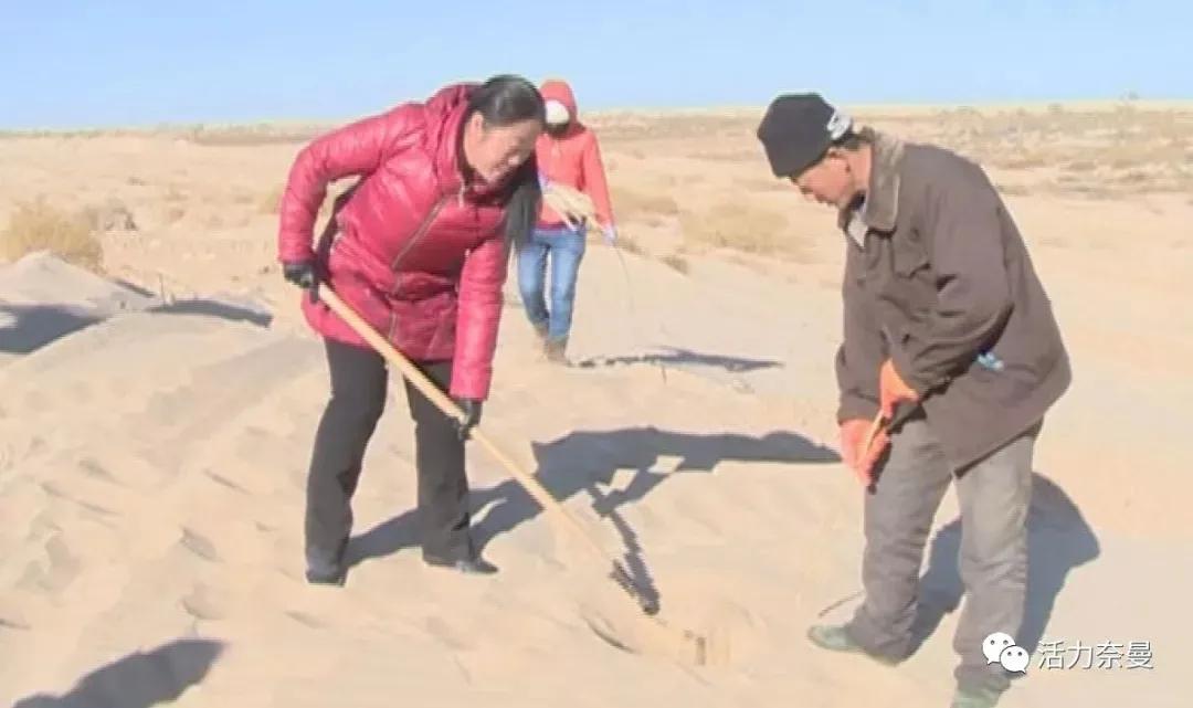 奈曼扶贫一点通,奈曼百企帮百村扶贫