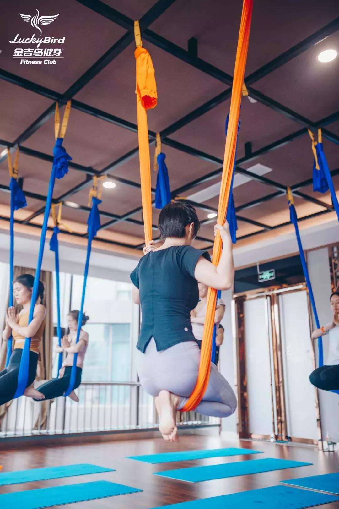 yoga从零开始,yoga的风格是什么