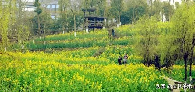 为什么好多人要上大专,为什么一定要上美院