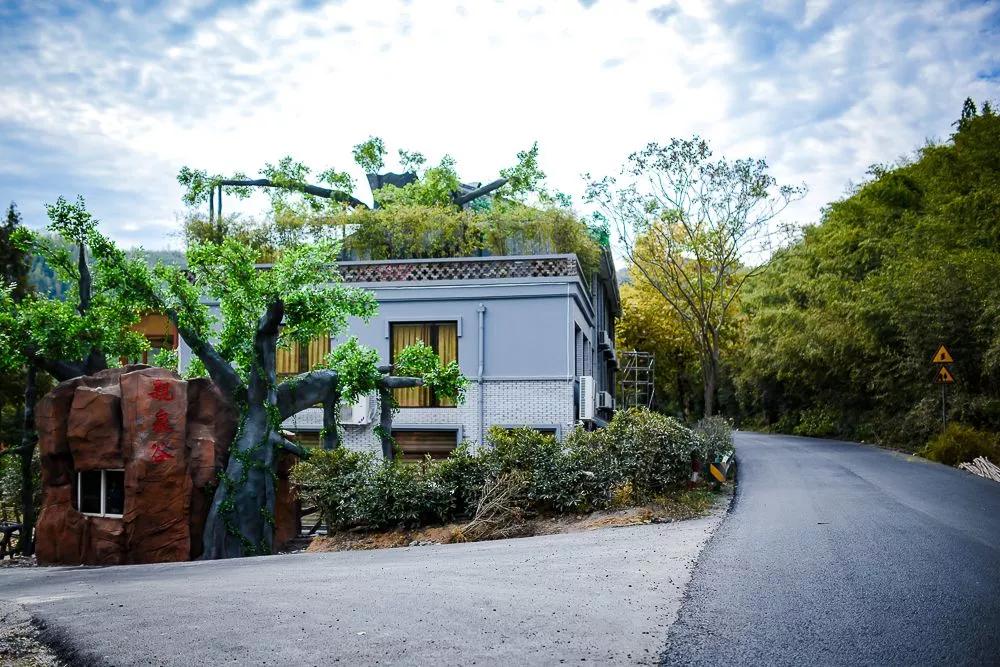 莫干山民宿幽静,莫干山竹林园民宿