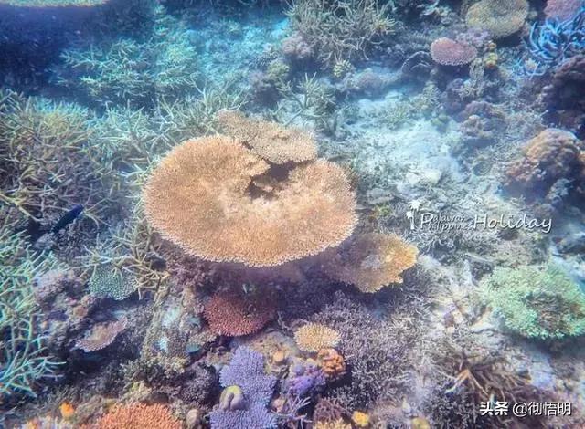 必去旅游的10个地方小众,必去旅游的10个地方国外