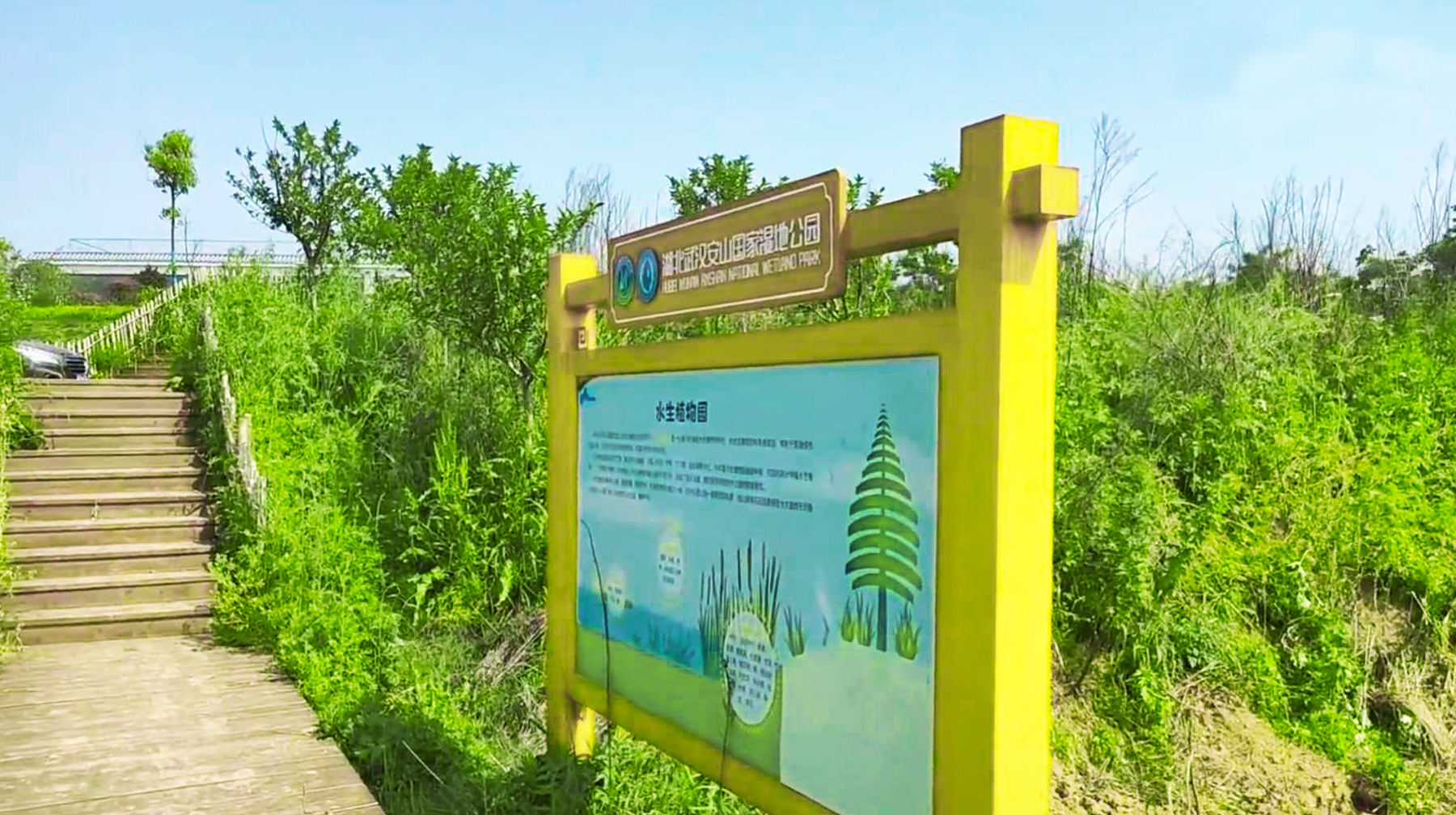 武汉绝美湿地公园,武汉东湖湿地公园景点