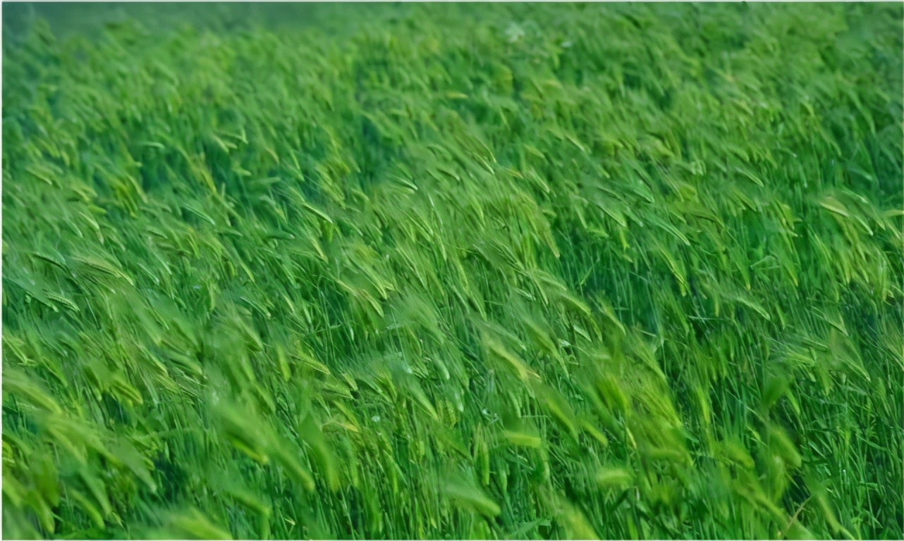 有氧运动的好处能够降低血压么,有氧运动的好处中医