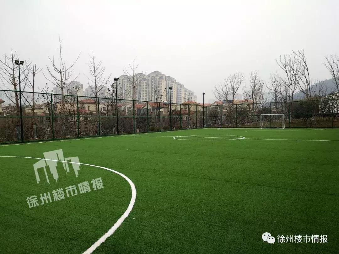 徐州森林公园,徐州森林公园开放时间最新