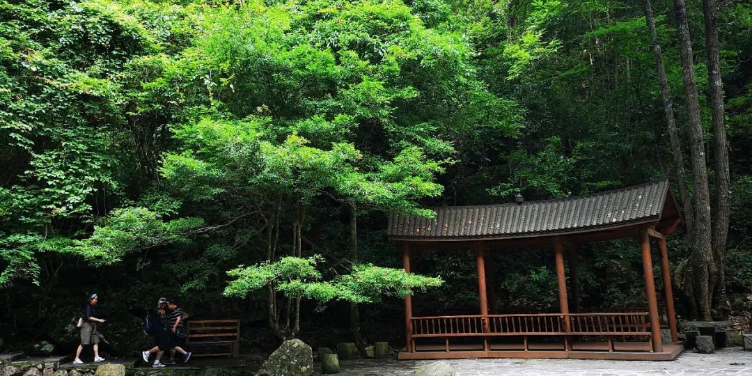 贺州姑婆山景区国家森林公园,贺州姑婆山森林公园路线