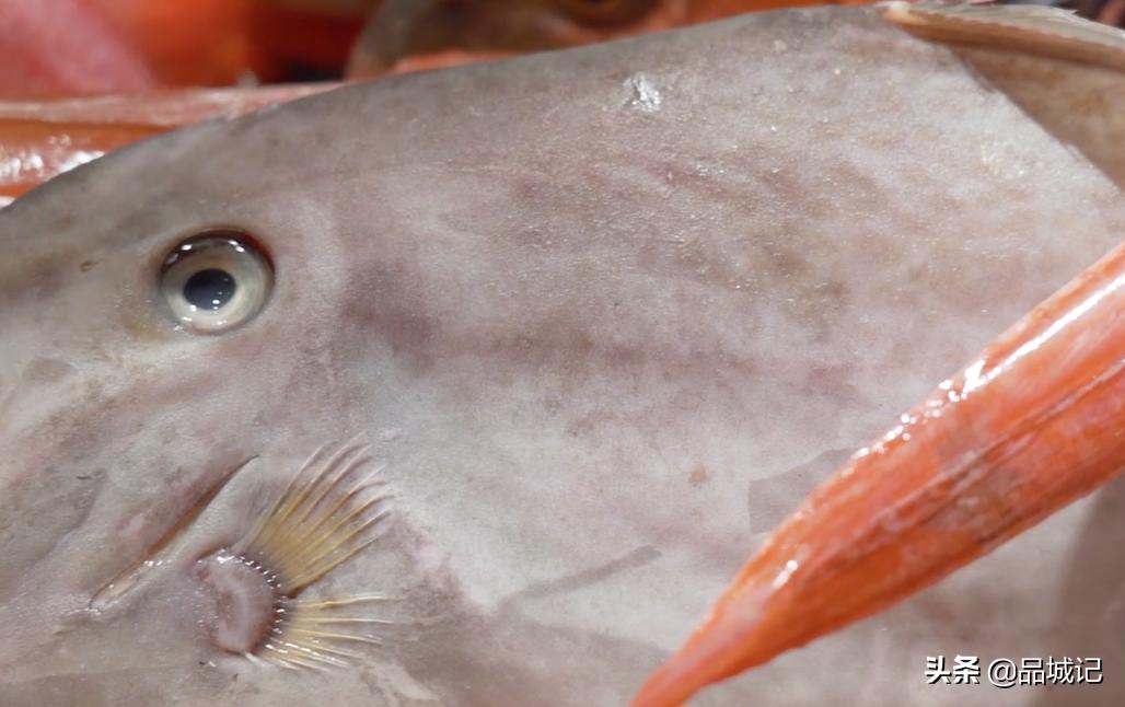 这家私房菜味道超赞,这家私房菜味道真的很好吃