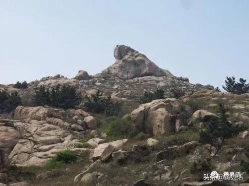 蹲犬山是大沽河的发源地吗?