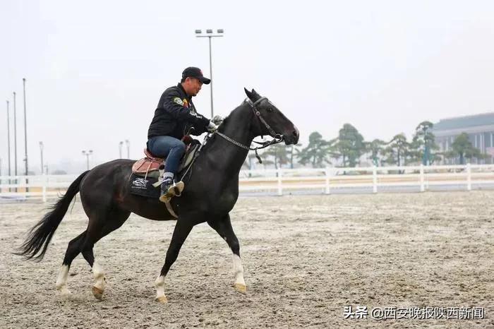 回顾十四运会,十四运会赛程安排在哪看