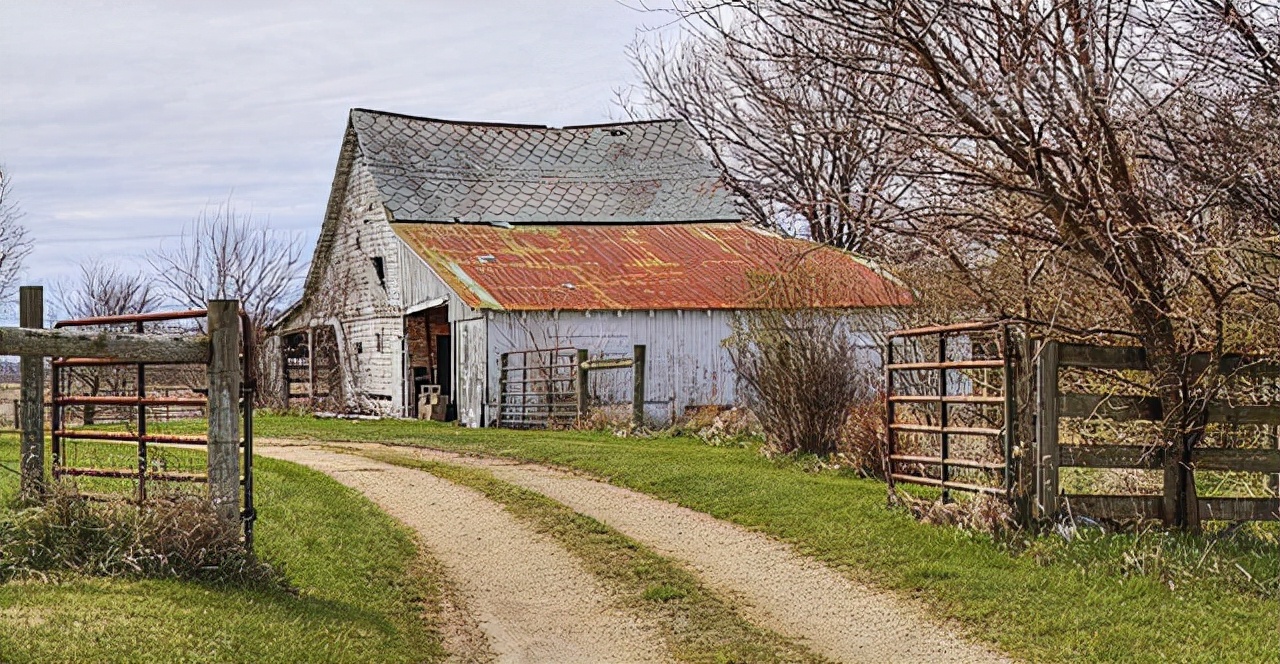 一个国家的悲剧：美国如何成为全球“*交性**易”第一目标国