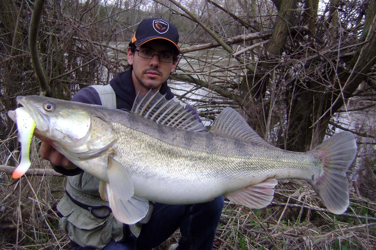 娆ф床姊矆,涓浗姊矆