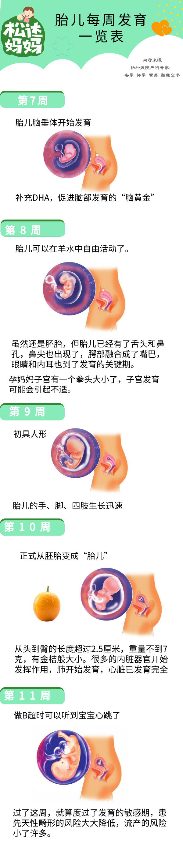 怀孕40周胎儿发育一览表，周周都有新变化！太神奇了