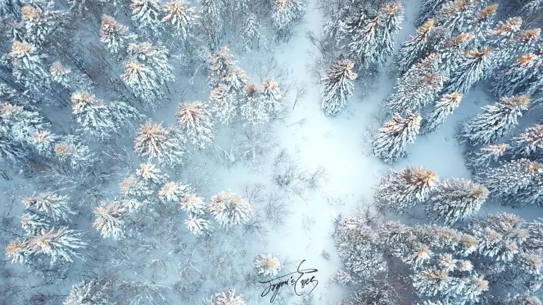 冰雪摄影实战推荐,雪地摄影前期参数