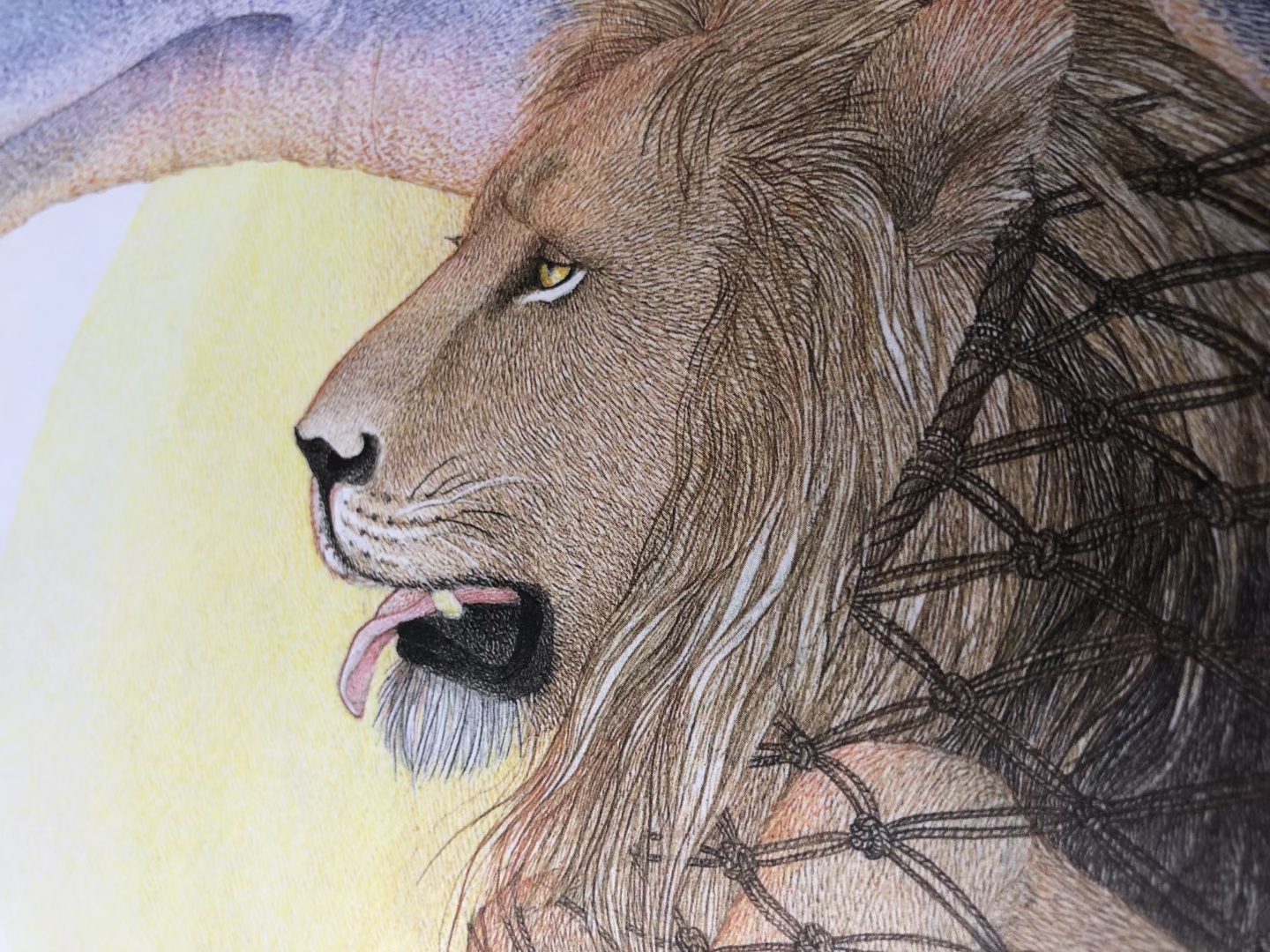 凯迪克奖作品,凯迪克金奖经典作品