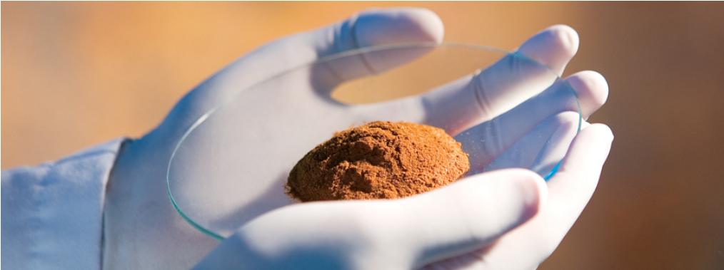 益生菌未来市场契机,益生菌益生元后生元三合一