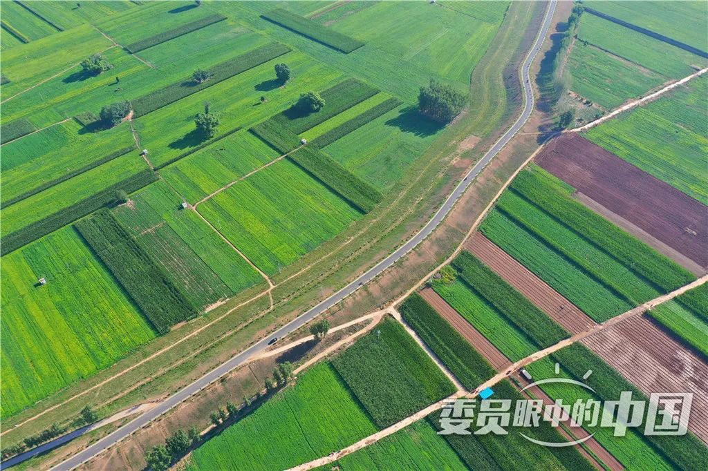 美丽中国中国篇,美丽中国双碳有我主题范文800字