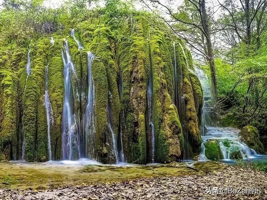 云南迪庆有哪些旅游景点,迪庆最值得去的景点有哪些地方