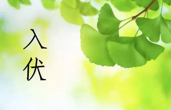 三伏天防病技巧,三伏养好背百病都消退