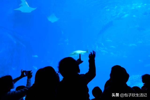 亲子珠海长隆海洋王国一日游攻略,珠海长隆海洋王国游玩攻略亲子