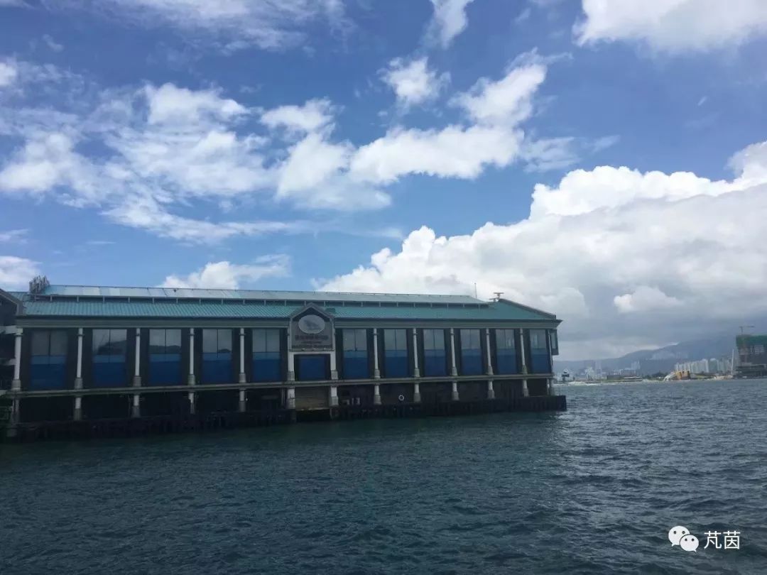 游走在香港大学,游走在深港边缘