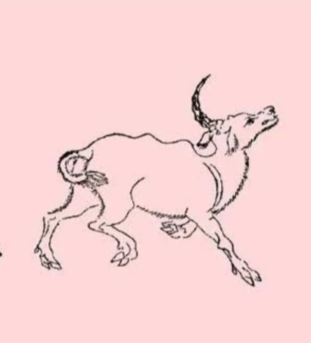 山海经中关于长白山的记载,祷过山