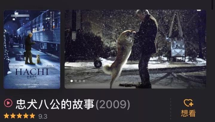 女孩子要怎么样才可以更精致 (女生如何让自己越来越精致)