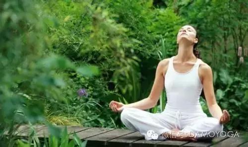 瀹瘨鐟滀冀浣撳紡,瀹瘨鐟滀冀浣撳紡鍥剧墖