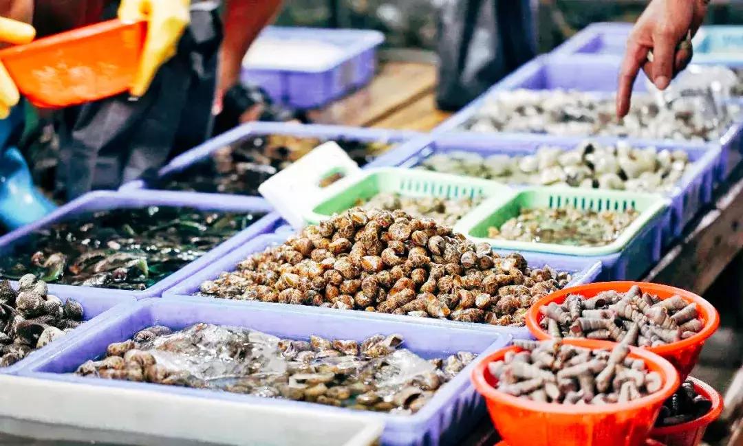 有一种炫富叫青岛开海,有一种炫富叫青岛开海了