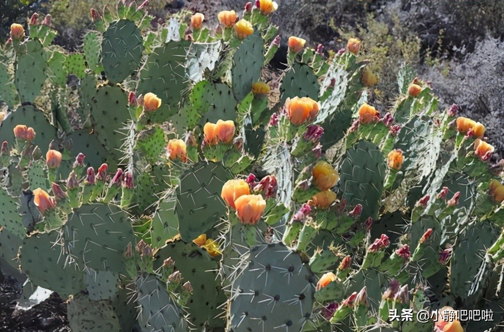 你不知道的国家冷知识危地马拉,墨西哥属于危险国家吗