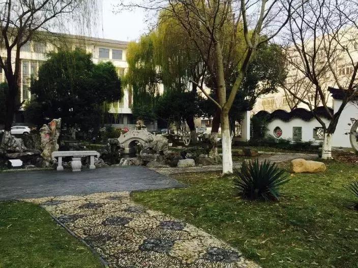 苏州几所学校停学通知最新,苏州的哪些学校被停课了