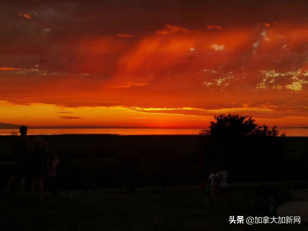 温哥华现最美晚霞+闪电温村秒变梦幻魔法城