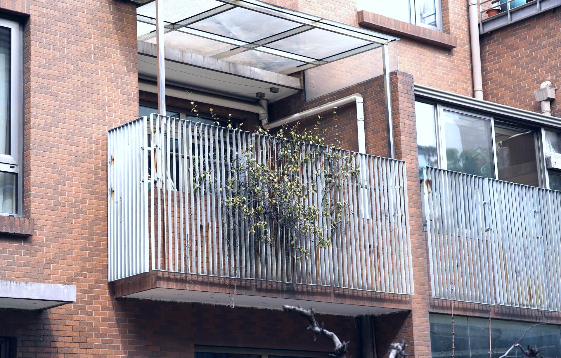 新手小白必备的相机配件,新手推荐买的相机配件