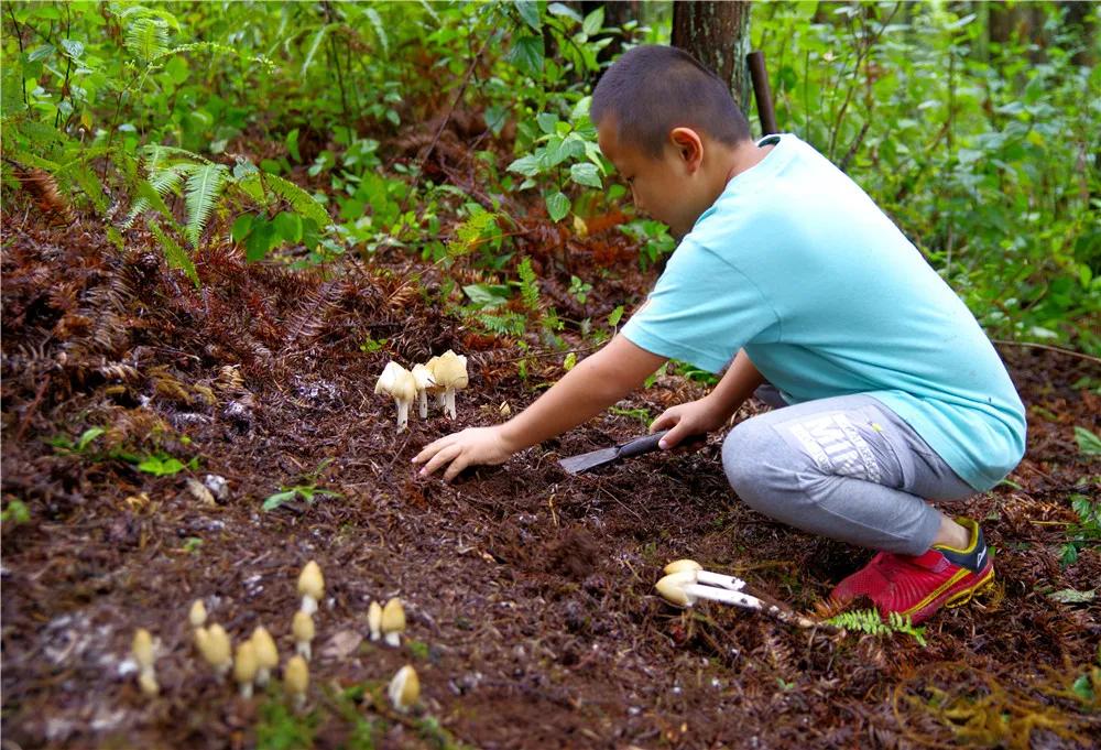一声闷雷歌词,一声声闷雷