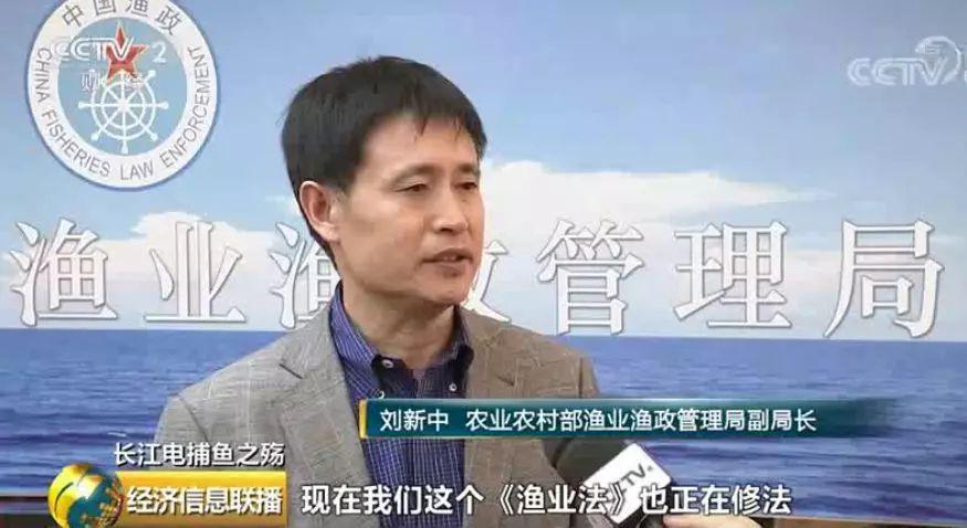 刑法规定的禁止使用捕鱼方法,非法捕鱼为什么屡禁不止