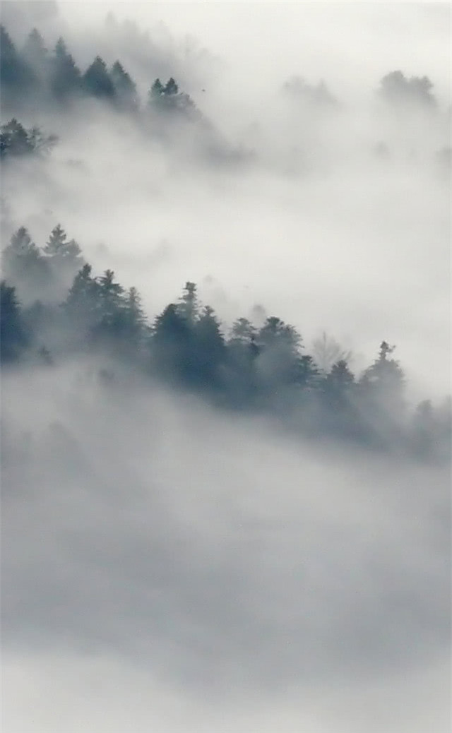 缓解眼睛疲劳动态图壁纸,好看的手机壁纸护眼高清图文