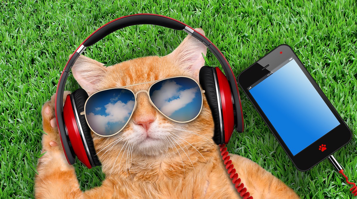 马思纯抗抑郁之路,马思纯吃药可以控制情绪吗