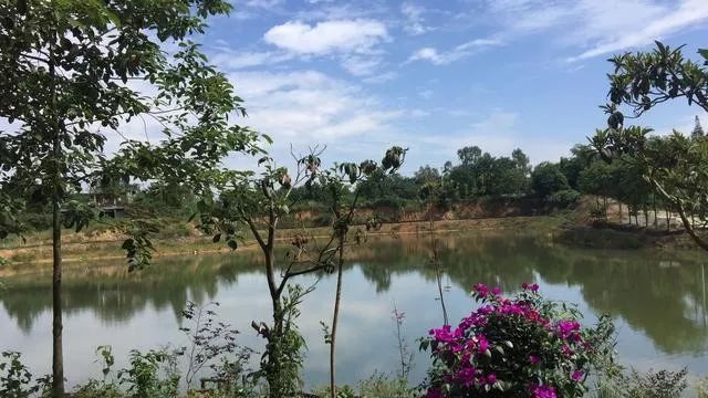 到阳澄湖蟹庄品尝正宗生态大闸蟹,都江堰哪里吃大闸蟹最好