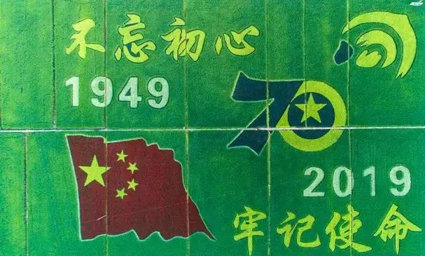 震撼！钱塘江畔出现巨型画作，有28个足球场这么大！