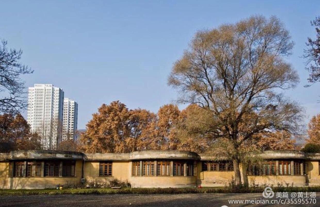 西北第一枪贺丰小说,西北第一枪厂介绍