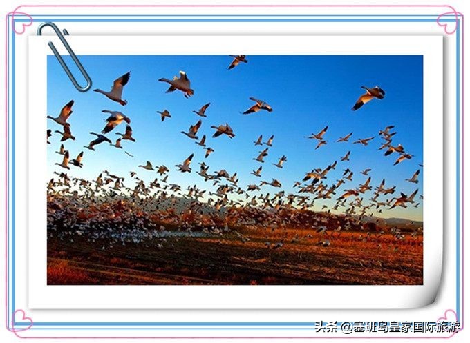 塞班岛八月份天气,塞班岛旅游价格表