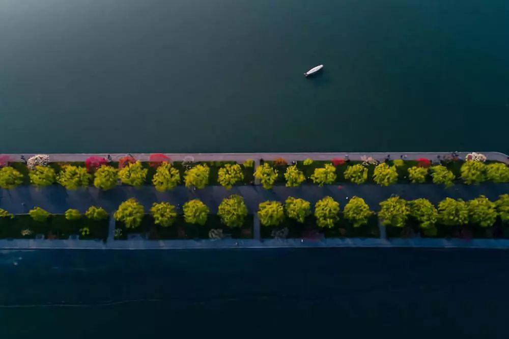 花港一楼茶楼,花港早茶