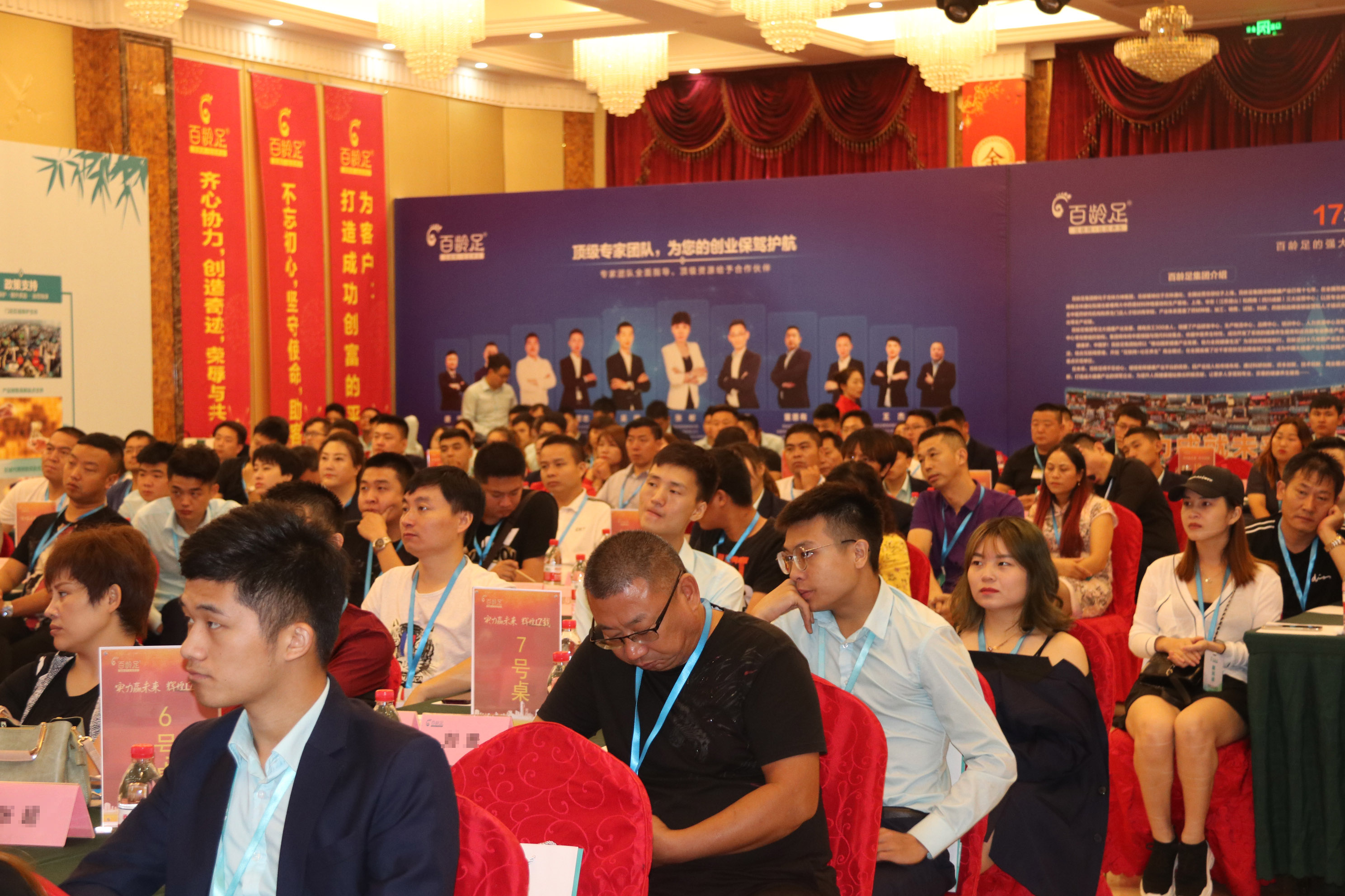 1688加盟招商,98加盟网