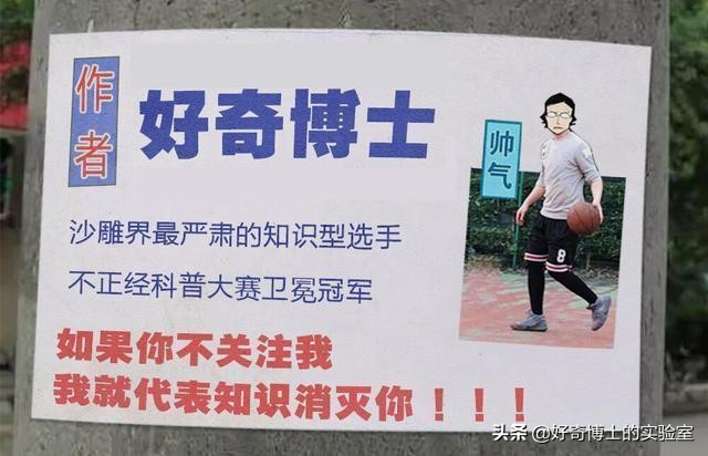 撸过猫撸过狗但你撸过“鱼”吗?