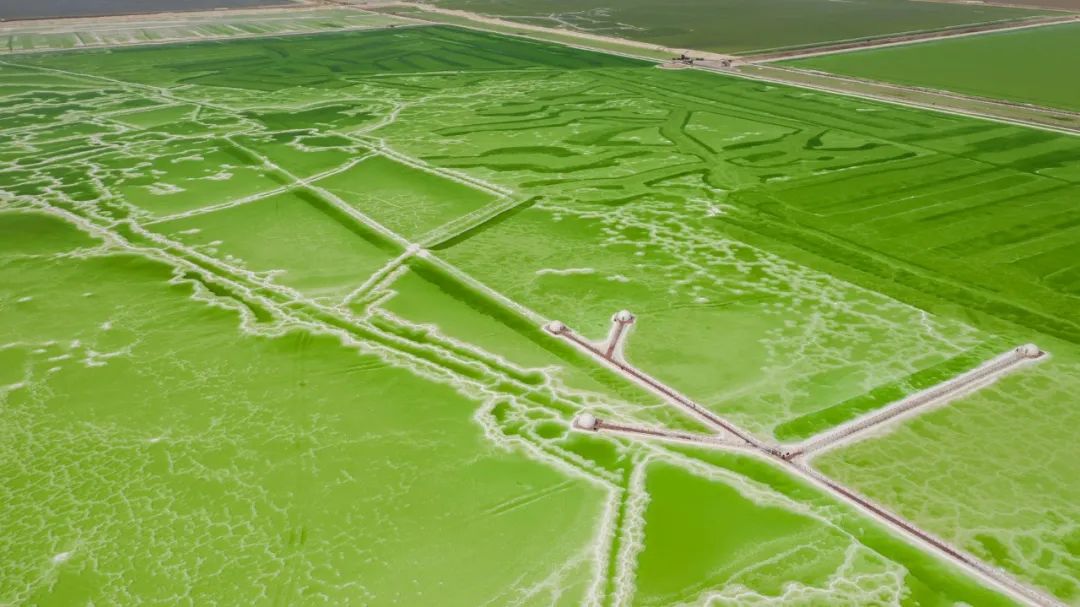 下一个早秋爆款目的地！还能这样玩儿？有你想不到的美好