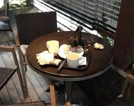 “25岁，第一场艳遇后，上瘾了”