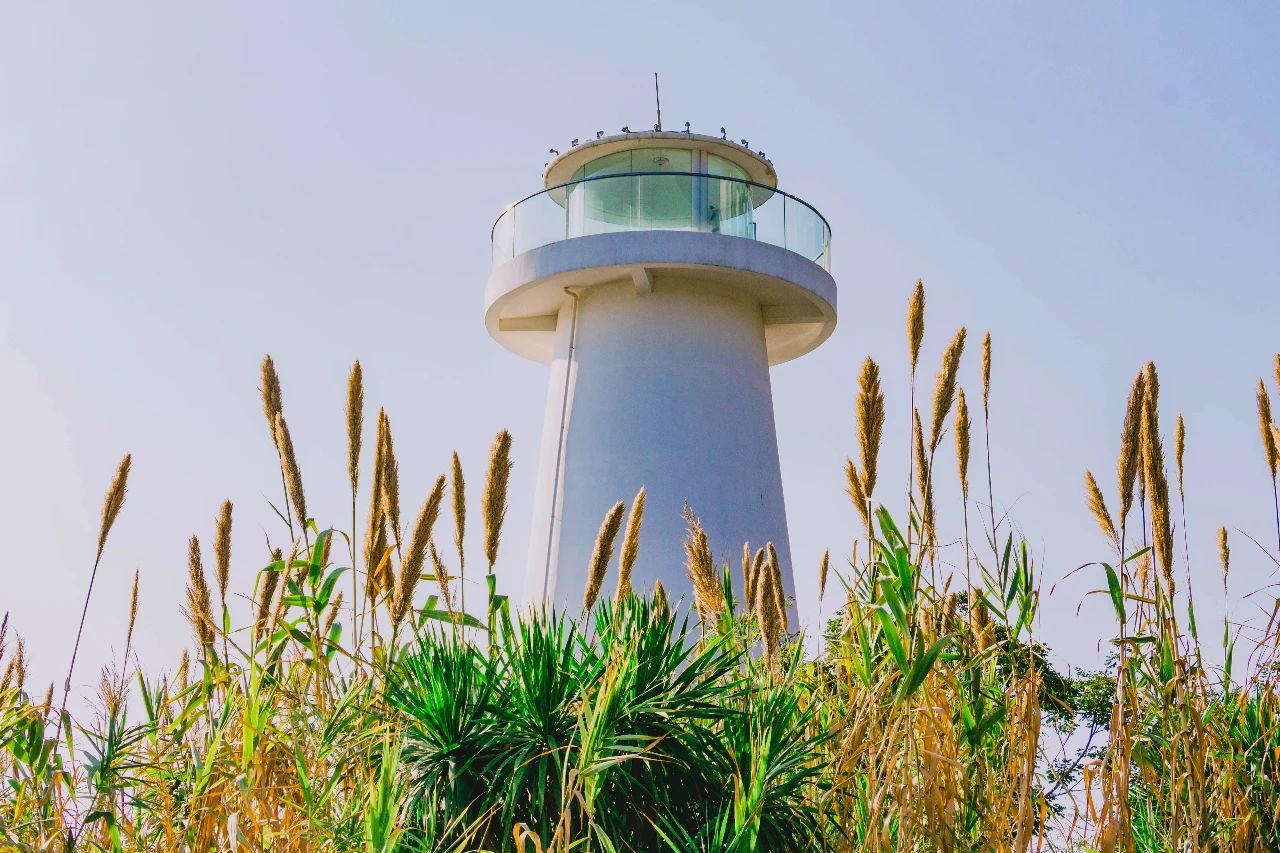 深圳旅游攻略地铁沿线景点,深圳市地铁2号线打卡的24个景点