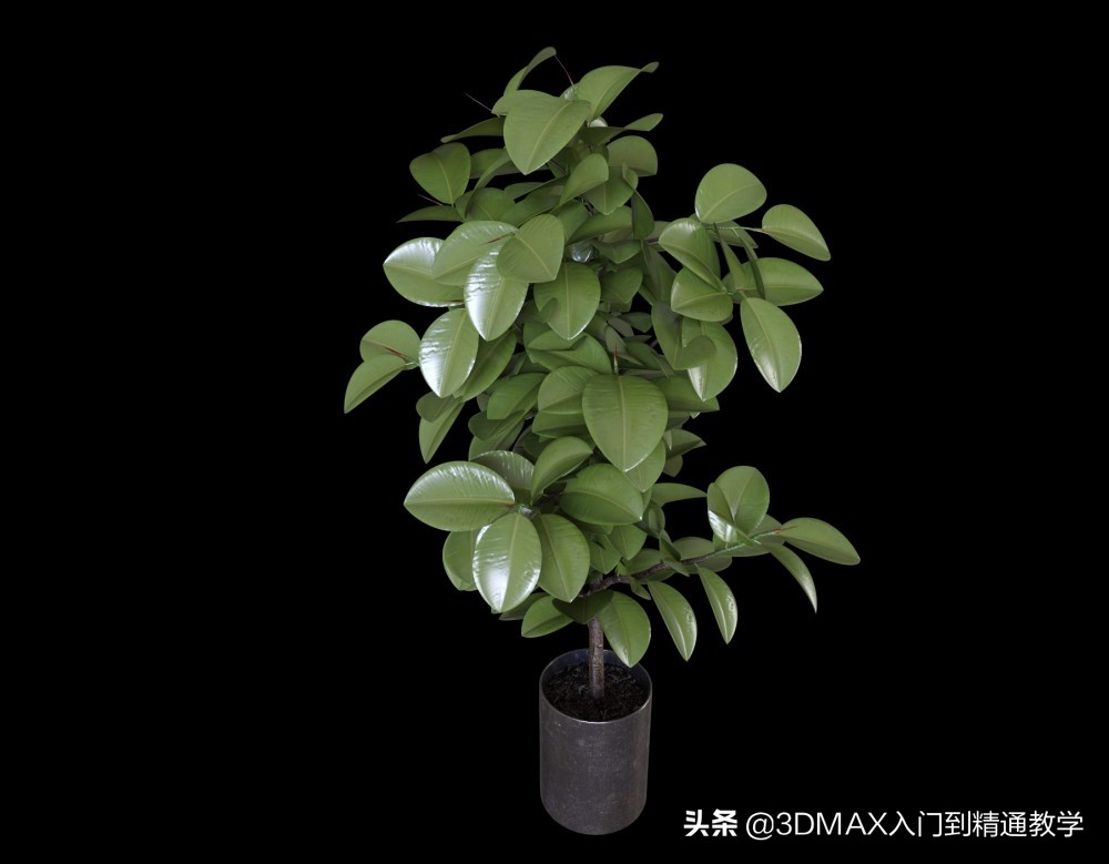 最牛的效果图是用什么制作的,30分钟做一套效果图