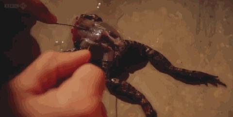 高端示波器的国内外发展现状,示波器的前世今生2