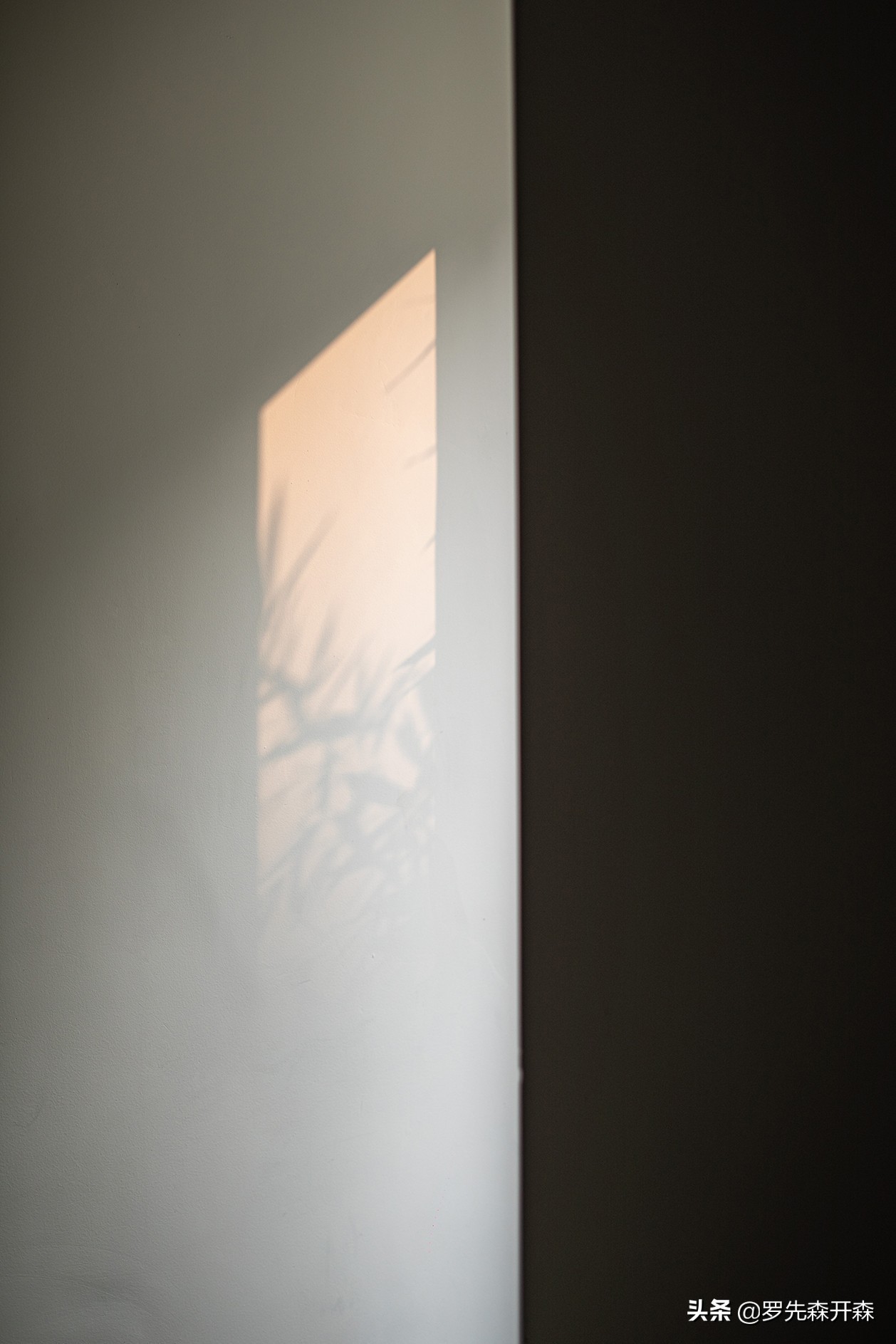 郑州中医馆会所,郑州中医食疗养生馆