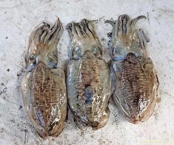 防城港怎么吃海鲜便宜不被坑,防城港干货海鲜有哪些