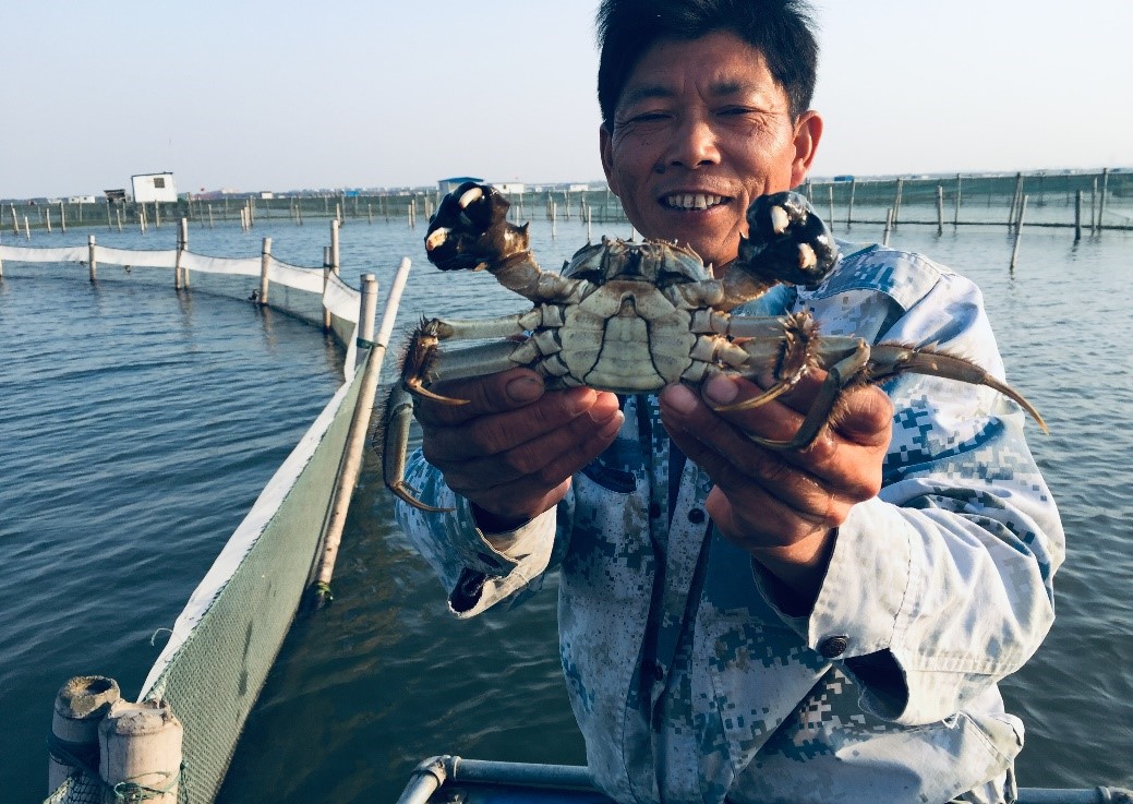 苏州阳澄湖吃蟹住哪个酒店,下榻酒店进餐